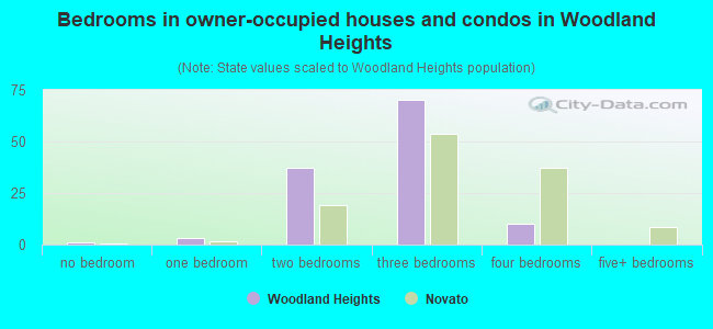 Bedrooms in owner-occupied houses and condos in Woodland Heights