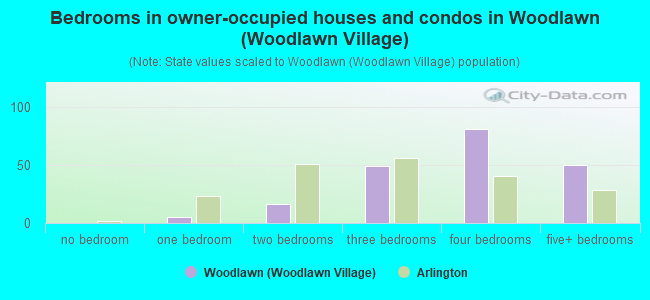 Bedrooms in owner-occupied houses and condos in Woodlawn (Woodlawn Village)
