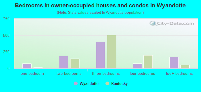 Bedrooms in owner-occupied houses and condos in Wyandotte