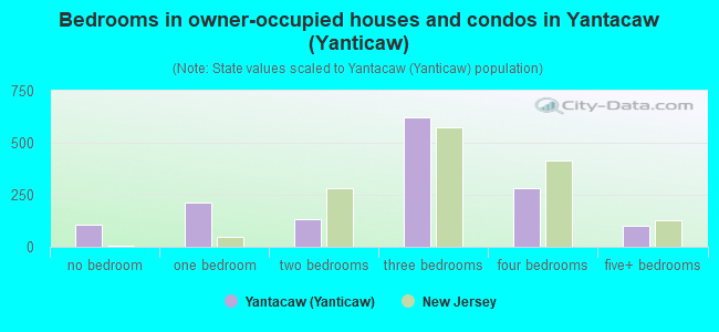 Bedrooms in owner-occupied houses and condos in Yantacaw (Yanticaw)