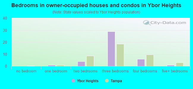 Bedrooms in owner-occupied houses and condos in Ybor Heights
