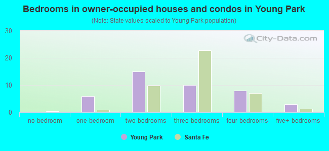 Bedrooms in owner-occupied houses and condos in Young Park