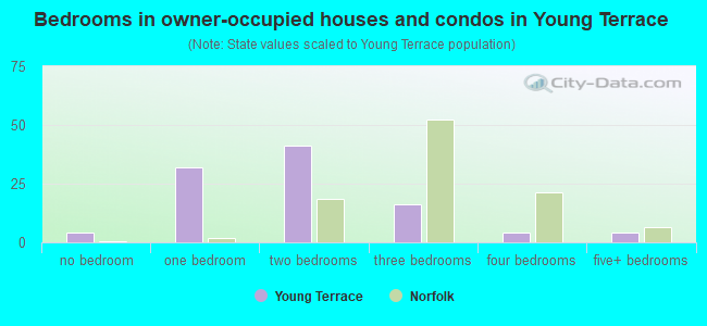 Bedrooms in owner-occupied houses and condos in Young Terrace