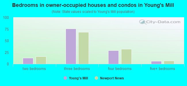 Bedrooms in owner-occupied houses and condos in Young's Mill