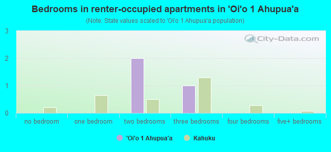 Bedrooms in renter-occupied apartments in `Oi`o 1 Ahupua`a