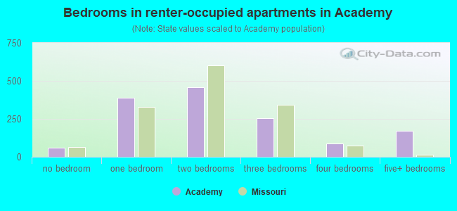 Bedrooms in renter-occupied apartments in Academy