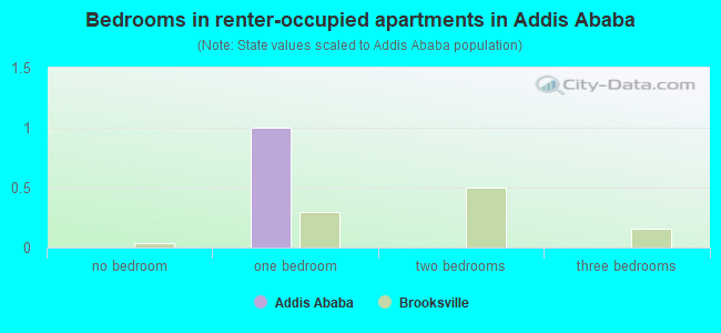 Bedrooms in renter-occupied apartments in Addis Ababa