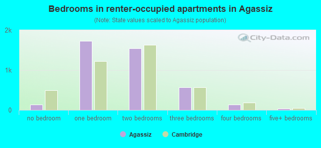 Bedrooms in renter-occupied apartments in Agassiz