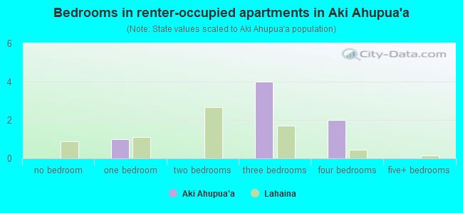 Bedrooms in renter-occupied apartments in Aki Ahupua`a