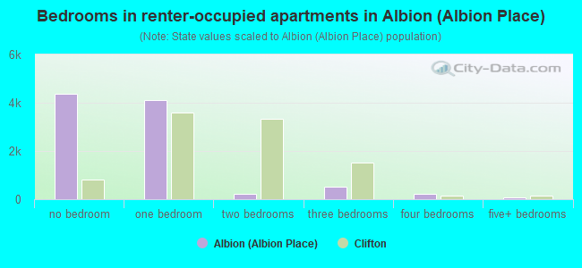 Bedrooms in renter-occupied apartments in Albion (Albion Place)