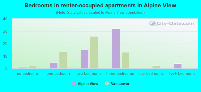 Bedrooms in renter-occupied apartments in Alpine View