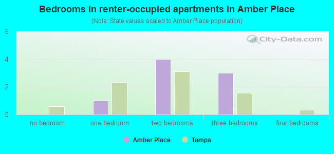 Bedrooms in renter-occupied apartments in Amber Place