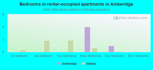 Bedrooms in renter-occupied apartments in Amberidge