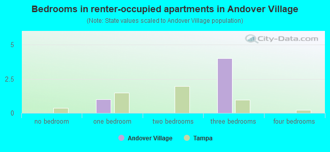 Bedrooms in renter-occupied apartments in Andover Village