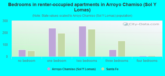 Bedrooms in renter-occupied apartments in Arroyo Chamiso (Sol Y Lomas)