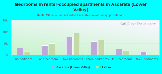 Bedrooms in renter-occupied apartments in Ascarate (Lower Valley)