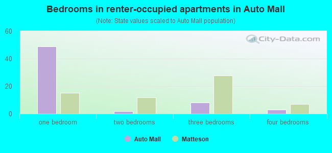 Bedrooms in renter-occupied apartments in Auto Mall