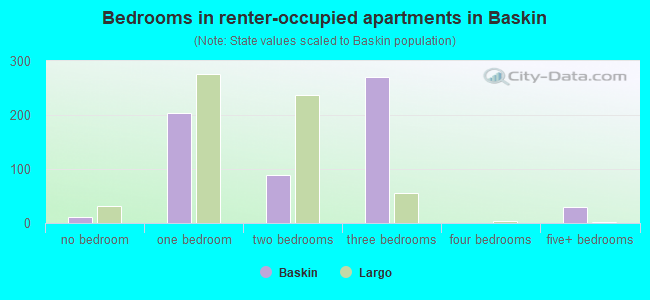 Bedrooms in renter-occupied apartments in Baskin