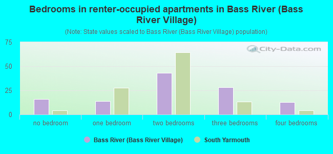 Bedrooms in renter-occupied apartments in Bass River (Bass River Village)