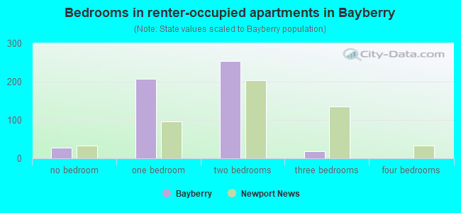 Bedrooms in renter-occupied apartments in Bayberry