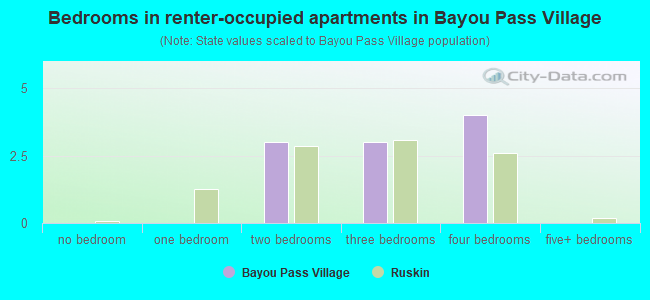 Bedrooms in renter-occupied apartments in Bayou Pass Village