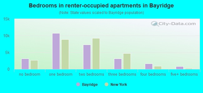 Bedrooms in renter-occupied apartments in Bayridge