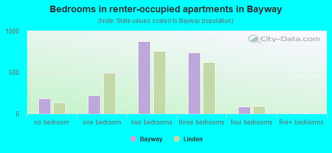 Bedrooms in renter-occupied apartments in Bayway