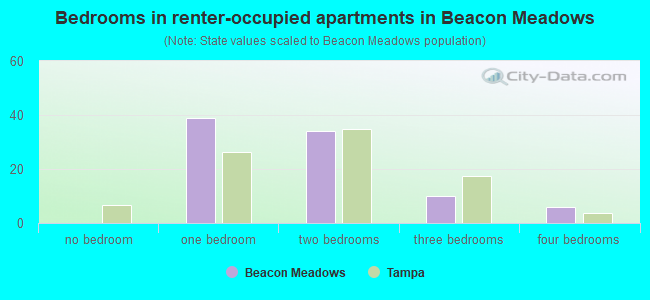 Bedrooms in renter-occupied apartments in Beacon Meadows