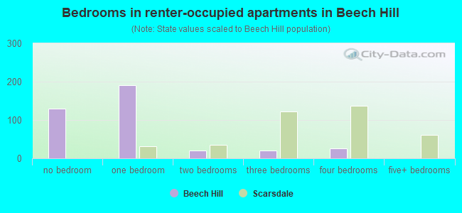 Bedrooms in renter-occupied apartments in Beech Hill