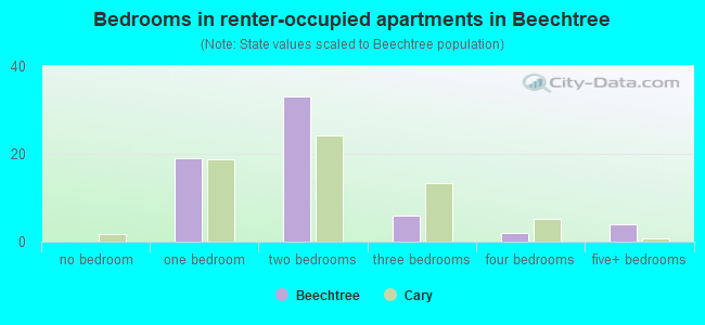 Bedrooms in renter-occupied apartments in Beechtree