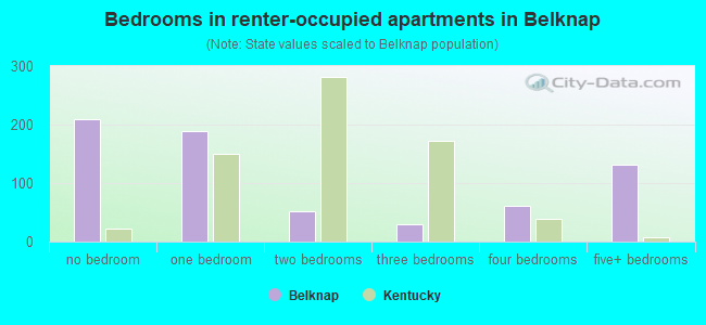 Bedrooms in renter-occupied apartments in Belknap