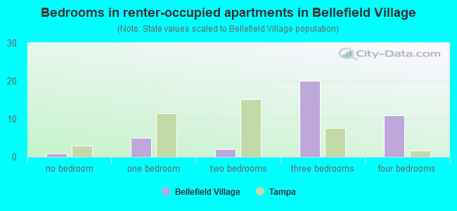 Bedrooms in renter-occupied apartments in Bellefield Village