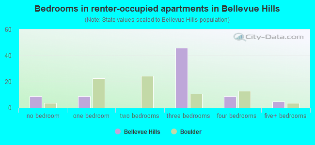 Bedrooms in renter-occupied apartments in Bellevue Hills