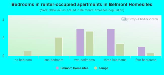 Bedrooms in renter-occupied apartments in Belmont Homesites