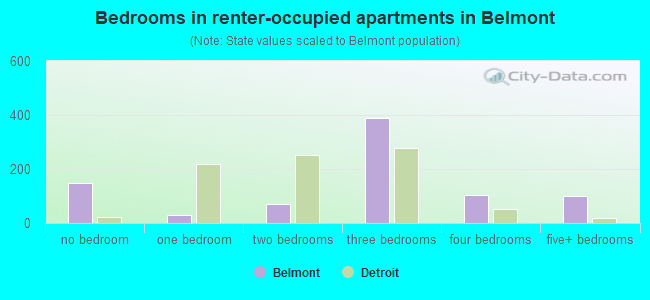 Bedrooms in renter-occupied apartments in Belmont