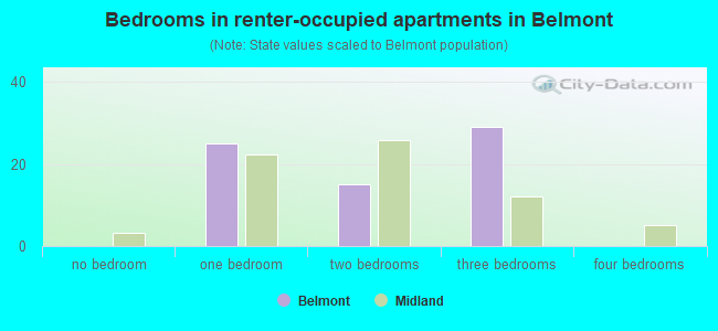 Bedrooms in renter-occupied apartments in Belmont