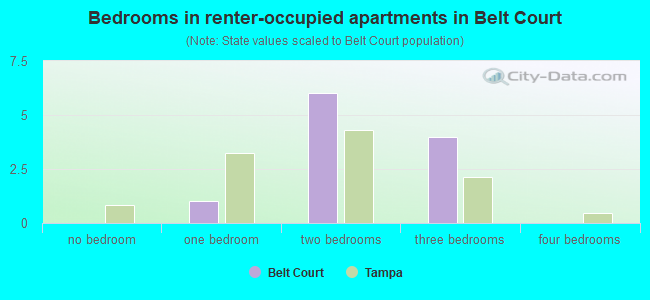 Bedrooms in renter-occupied apartments in Belt Court
