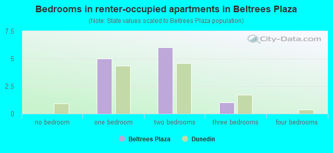 Bedrooms in renter-occupied apartments in Beltrees Plaza