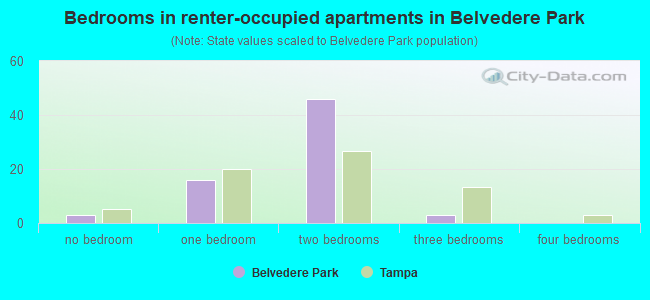 Bedrooms in renter-occupied apartments in Belvedere Park