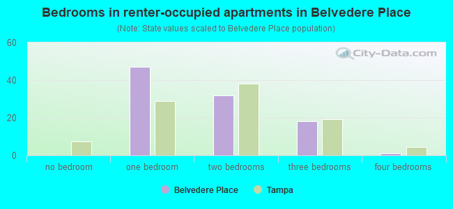 Bedrooms in renter-occupied apartments in Belvedere Place