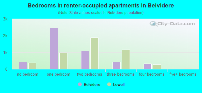 Bedrooms in renter-occupied apartments in Belvidere