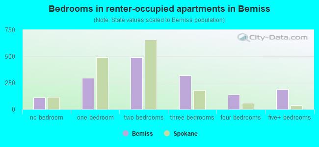 Bedrooms in renter-occupied apartments in Bemiss