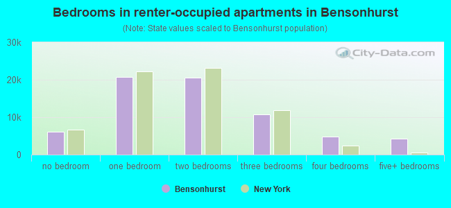 Bedrooms in renter-occupied apartments in Bensonhurst