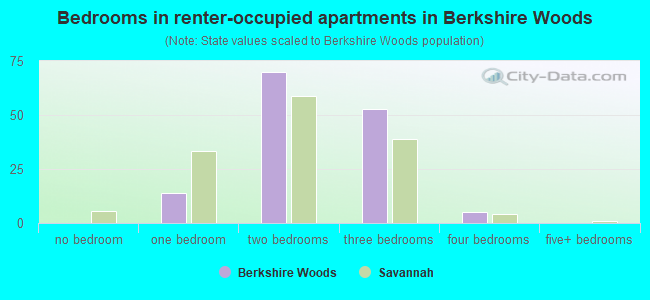 Bedrooms in renter-occupied apartments in Berkshire Woods