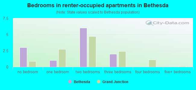 Bedrooms in renter-occupied apartments in Bethesda