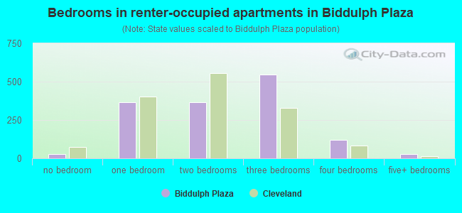 Bedrooms in renter-occupied apartments in Biddulph Plaza
