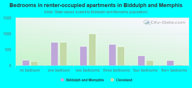 Bedrooms in renter-occupied apartments in Biddulph and Memphis