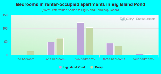 Bedrooms in renter-occupied apartments in Big Island Pond