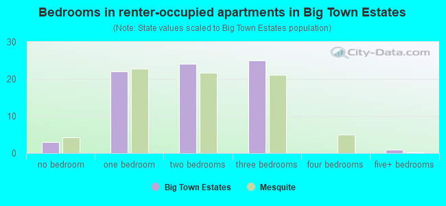 Bedrooms in renter-occupied apartments in Big Town Estates