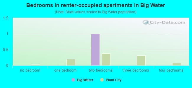 Bedrooms in renter-occupied apartments in Big Water
